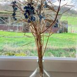 Transparent 5L demijohn