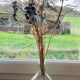 Transparent 5L demijohn