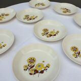 Set 14 plates Marguerites pop design 1970 Sovirel