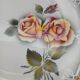6 assiettes plates Digoin et Sarreguemines