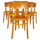 Mid Century Modern Dining Room Zebra Wood Chairs, set of six, Italy 1950s