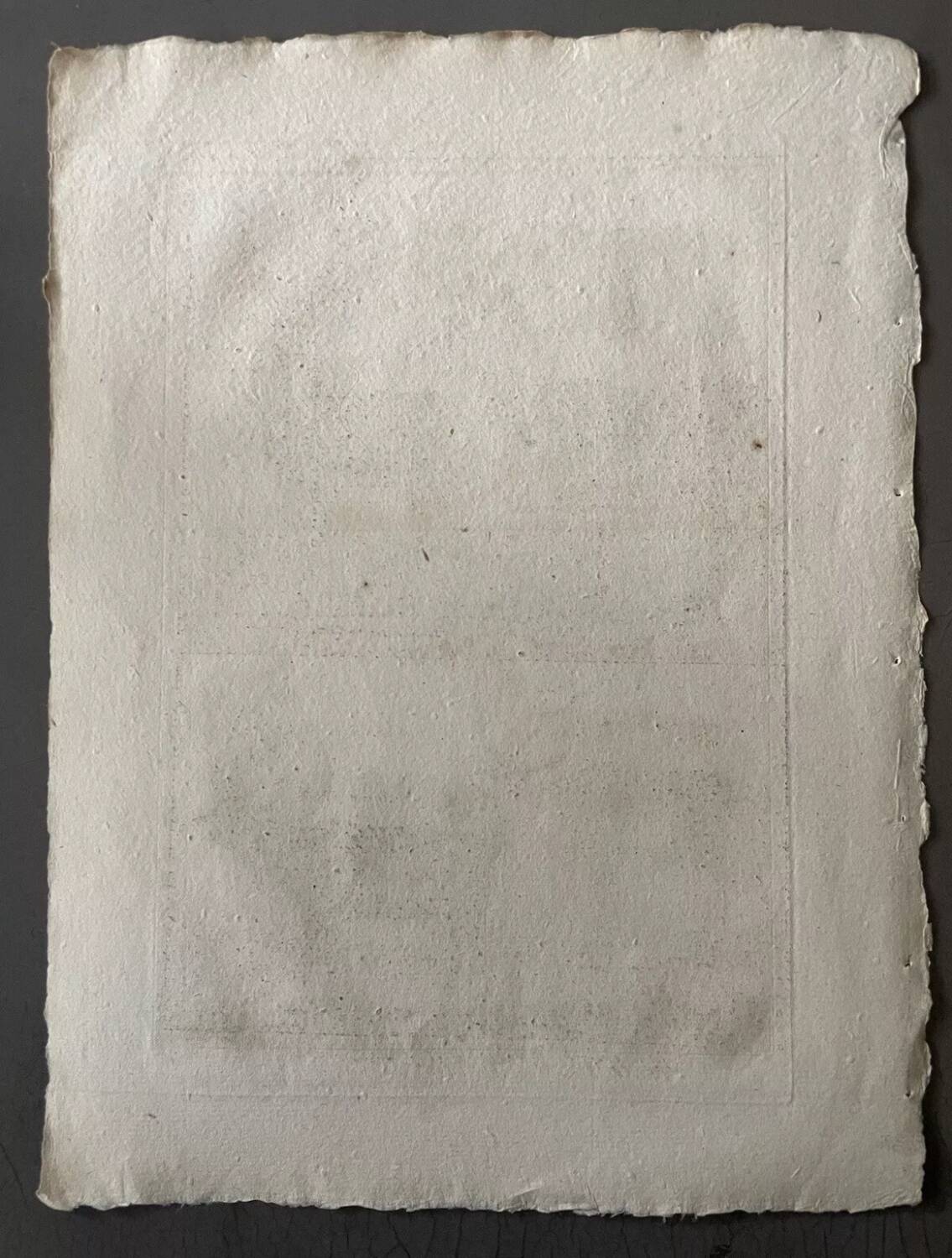 18th century engraving of deer, doe, Buffon, Bonnaterre, Natural History