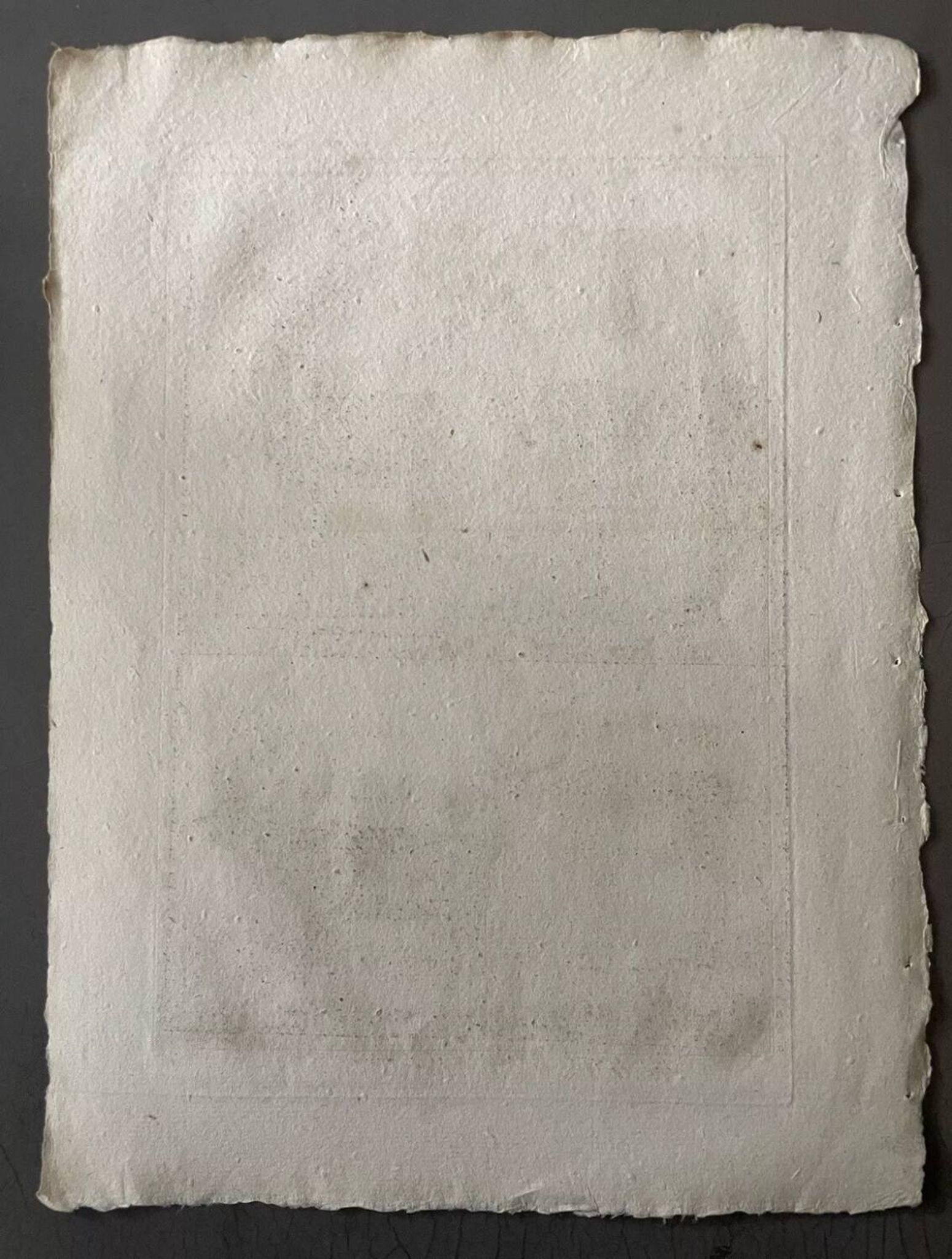 Gravure XVIIIe cerf, biche, Buffon, Bonnaterre, Histoire naturelle