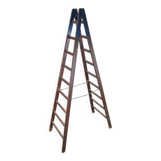 Painter's ladder