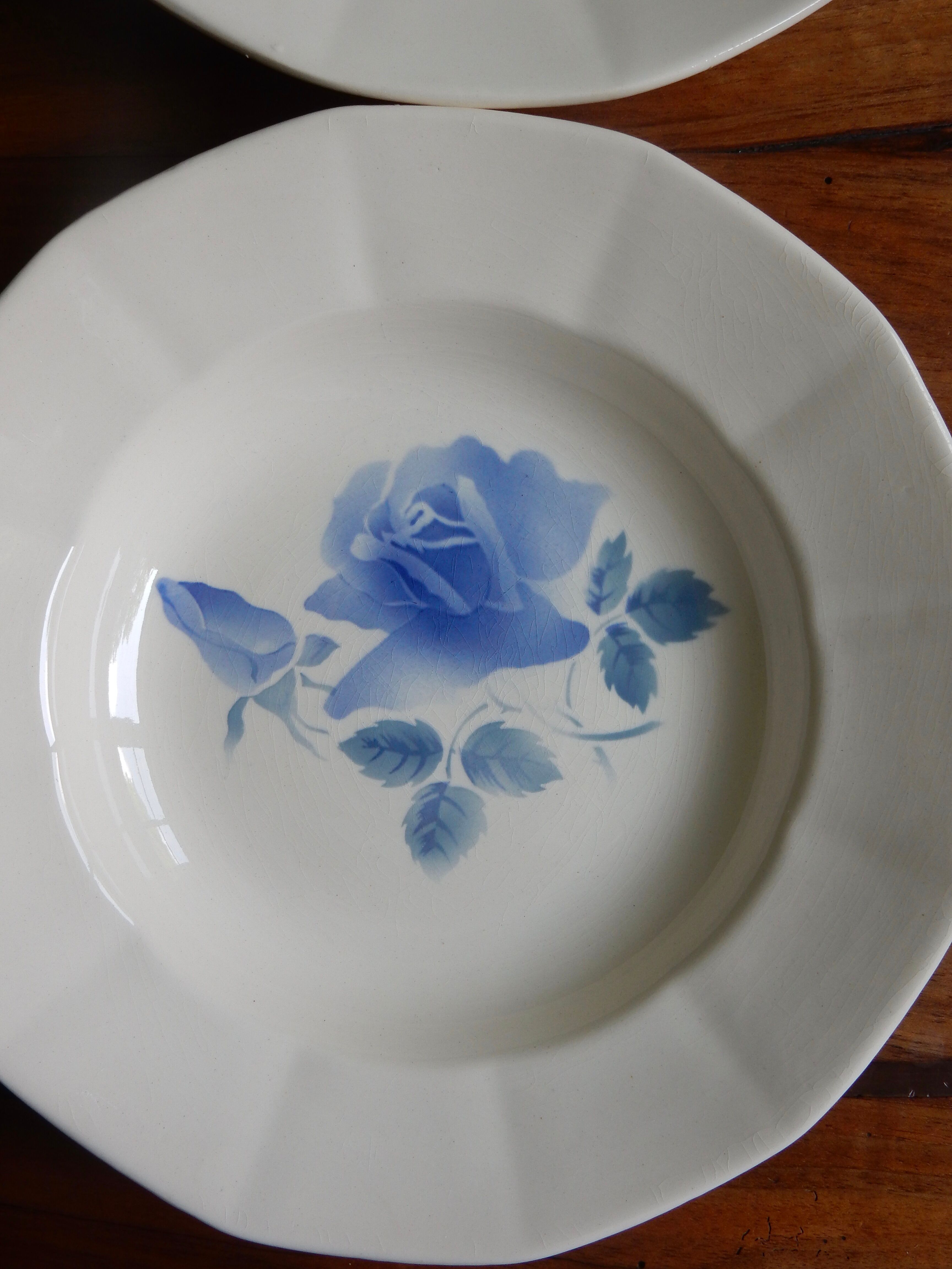 6 hollow plates Digoin Sarreguemines / Pattern Blue Roses