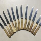 Old cheese knives or other use