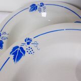 5 deep plates Roselys model vine 211251