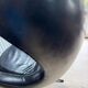 Fritz Hansen - Arne Jacobsen - Lounge chair with ottoman - Egg Chair