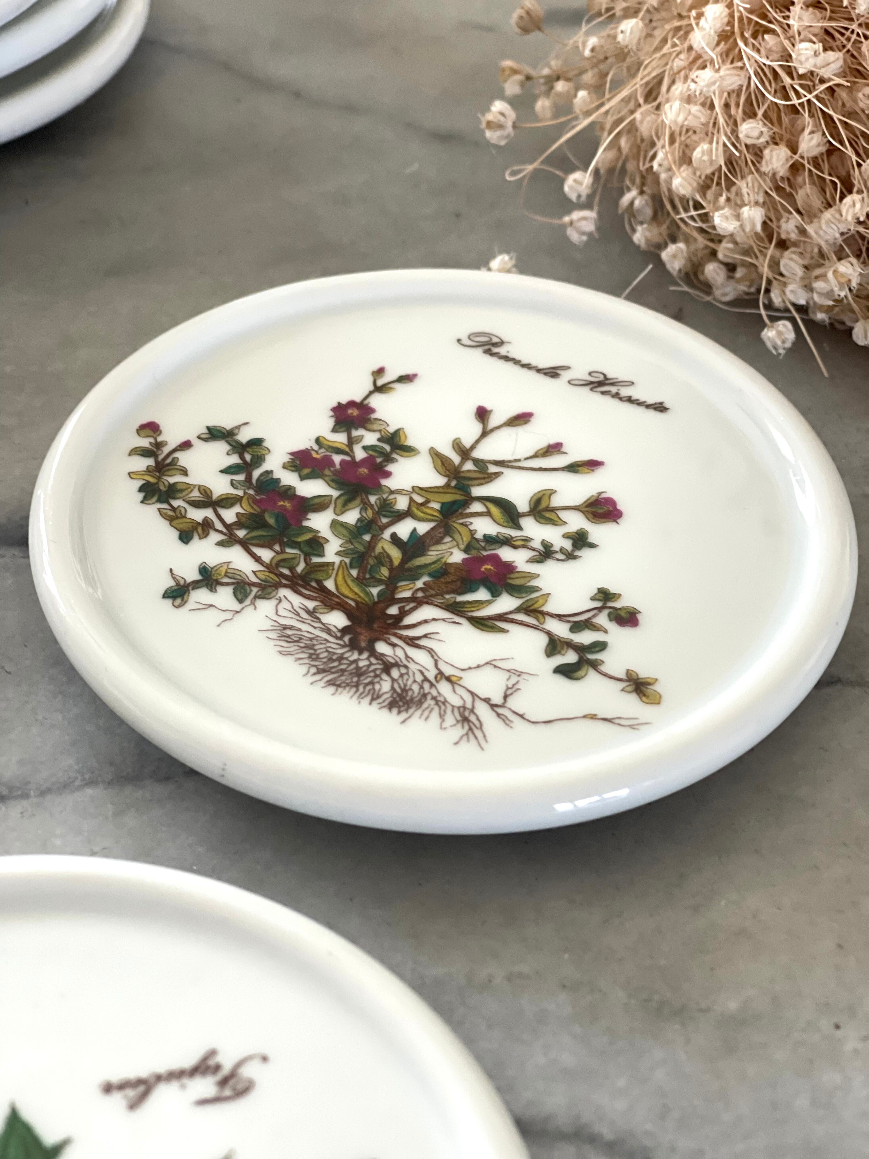 6 under glass porcelain 1970