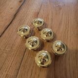 6 Polished Brass Furniture Knobs