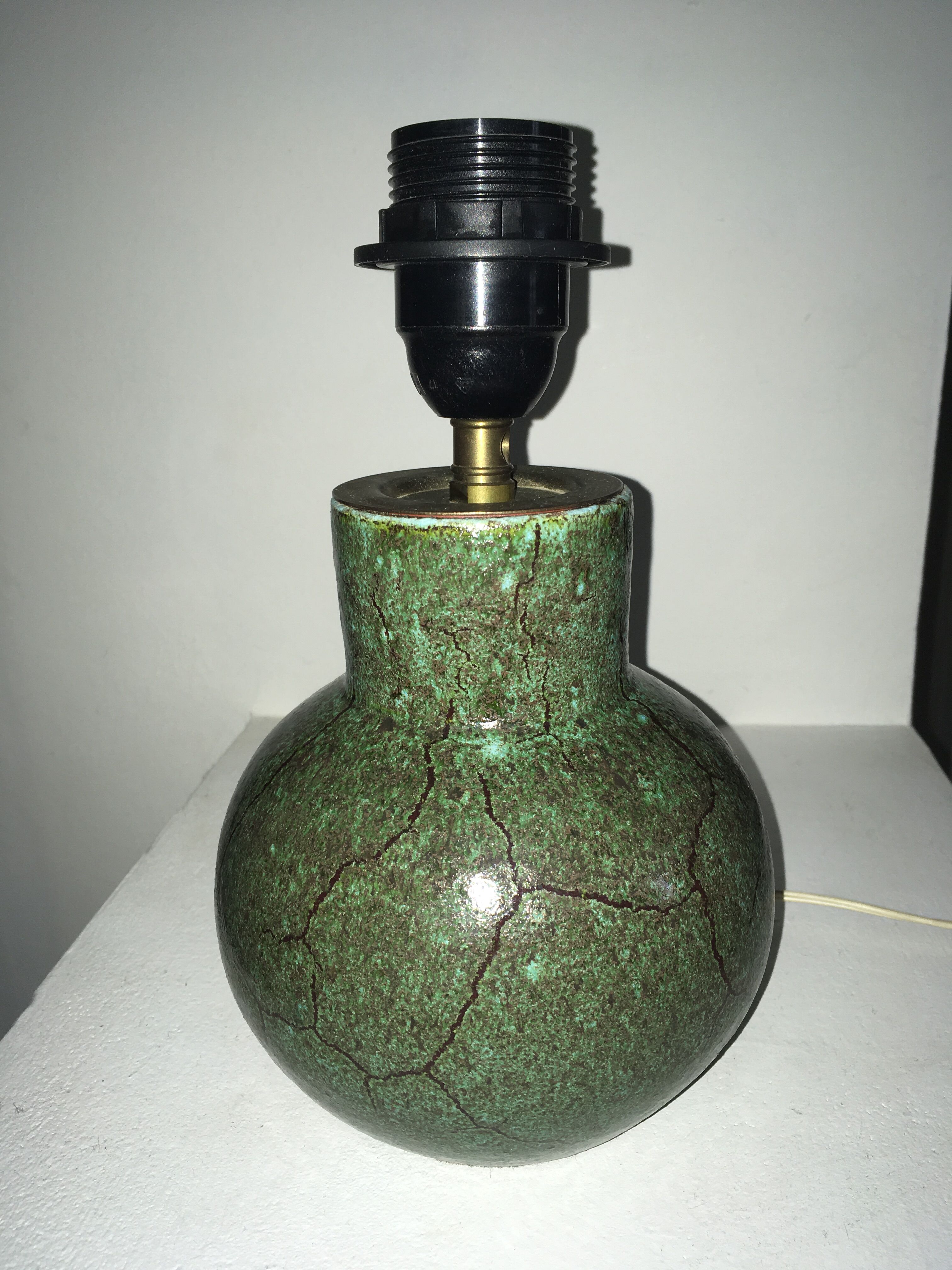 Accolay vintage reptile lamp