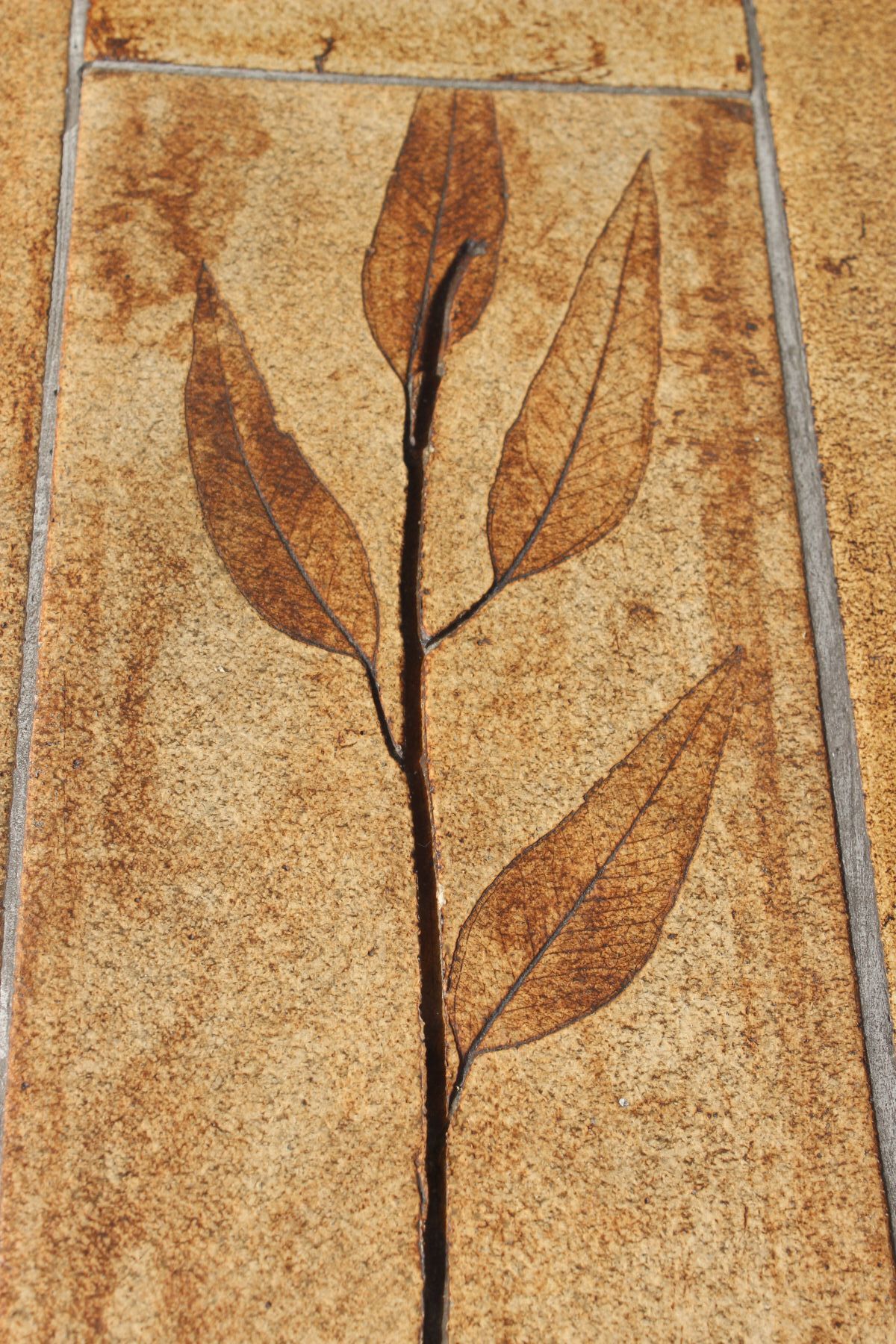 Coffee table Model Garrigue in Ceramics and Wood by Roger Capron, France, 1950s