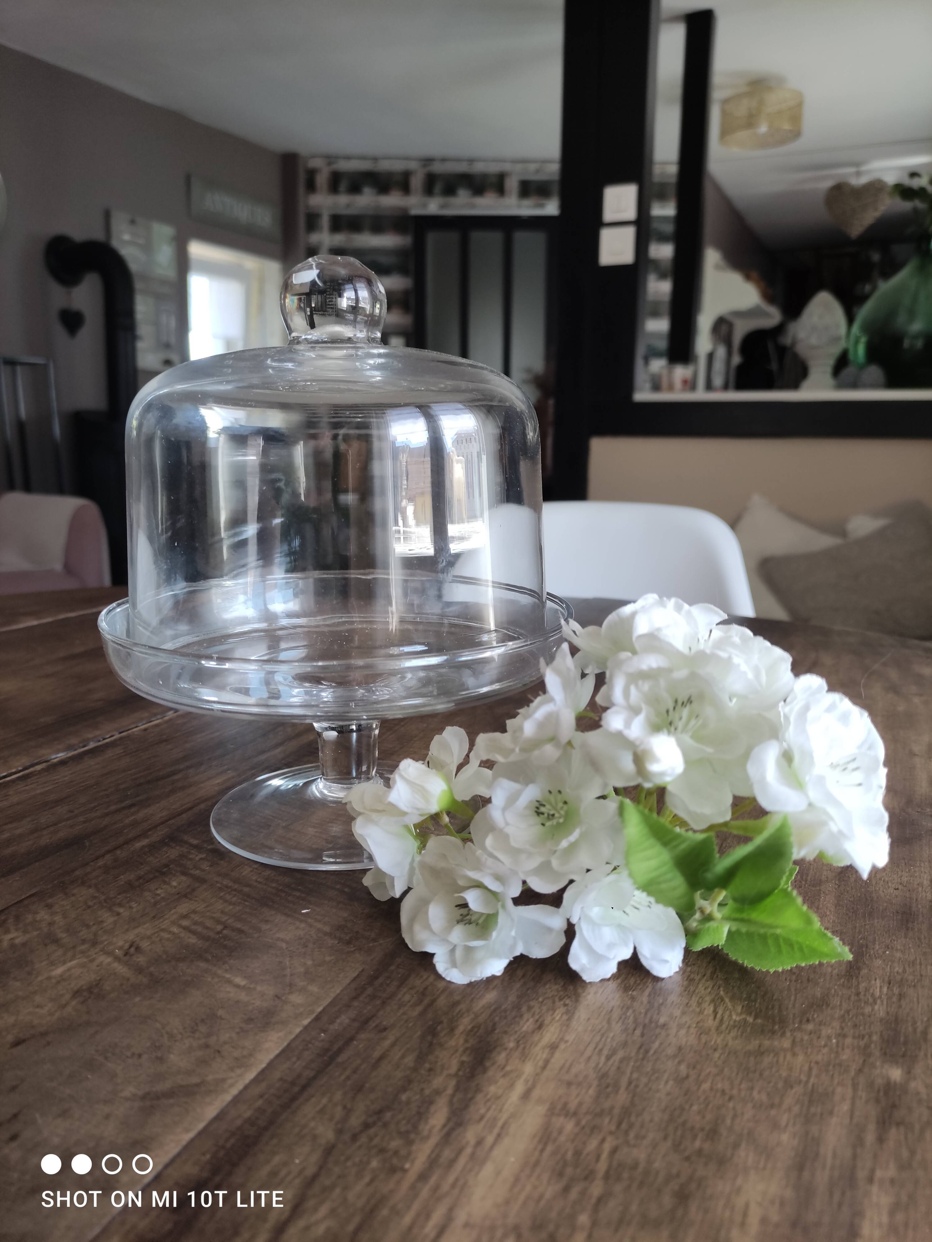 Glass bell on low stand