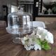 Glass bell on low stand