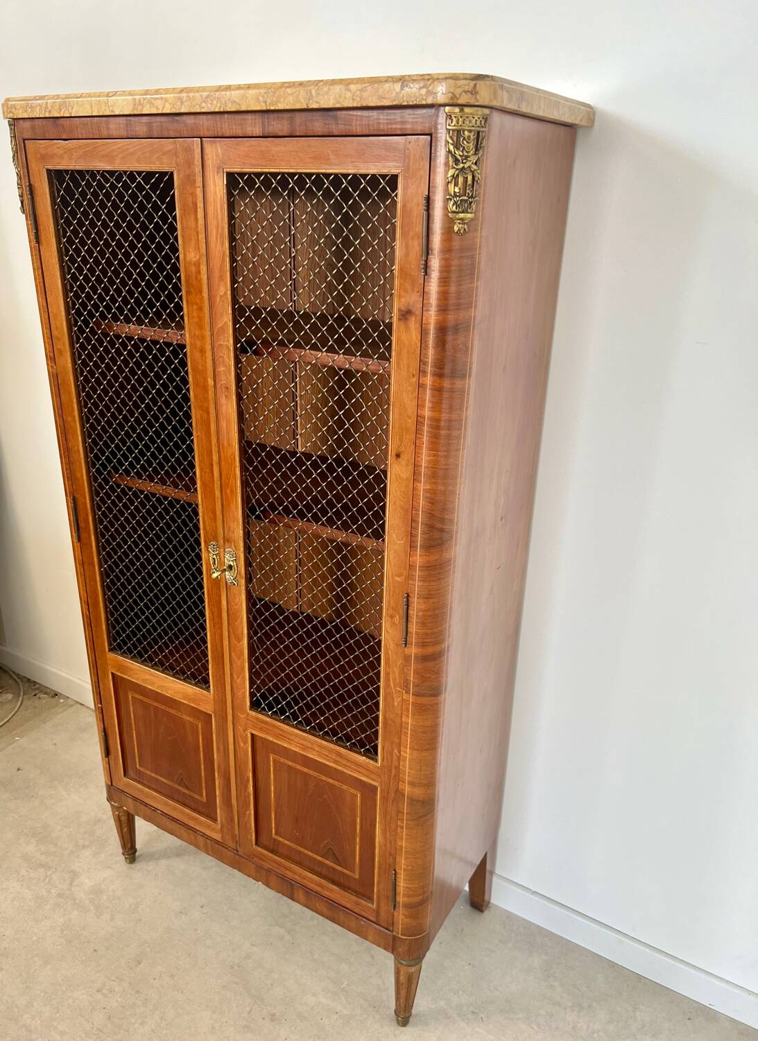 Old display case library with wire mesh from the Napoleon III period, late 19th century