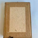 Framed Butterfly, 1960s