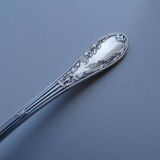 12 dessert spoons Apollo silver metal 1920 in case