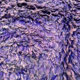 Blue Moroccan carpet - 190 x 350 cm