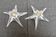 DAUM France pair of crystal candlesticks "Starfish" large model, 1960/1970
