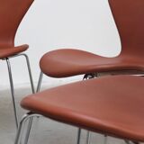 'Series 7' chairs in cognac leather by Arne Jacobsen for Fritz Hansen, 1955