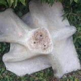 Handkerchief planter by Willy Guhl for Eternit 1950