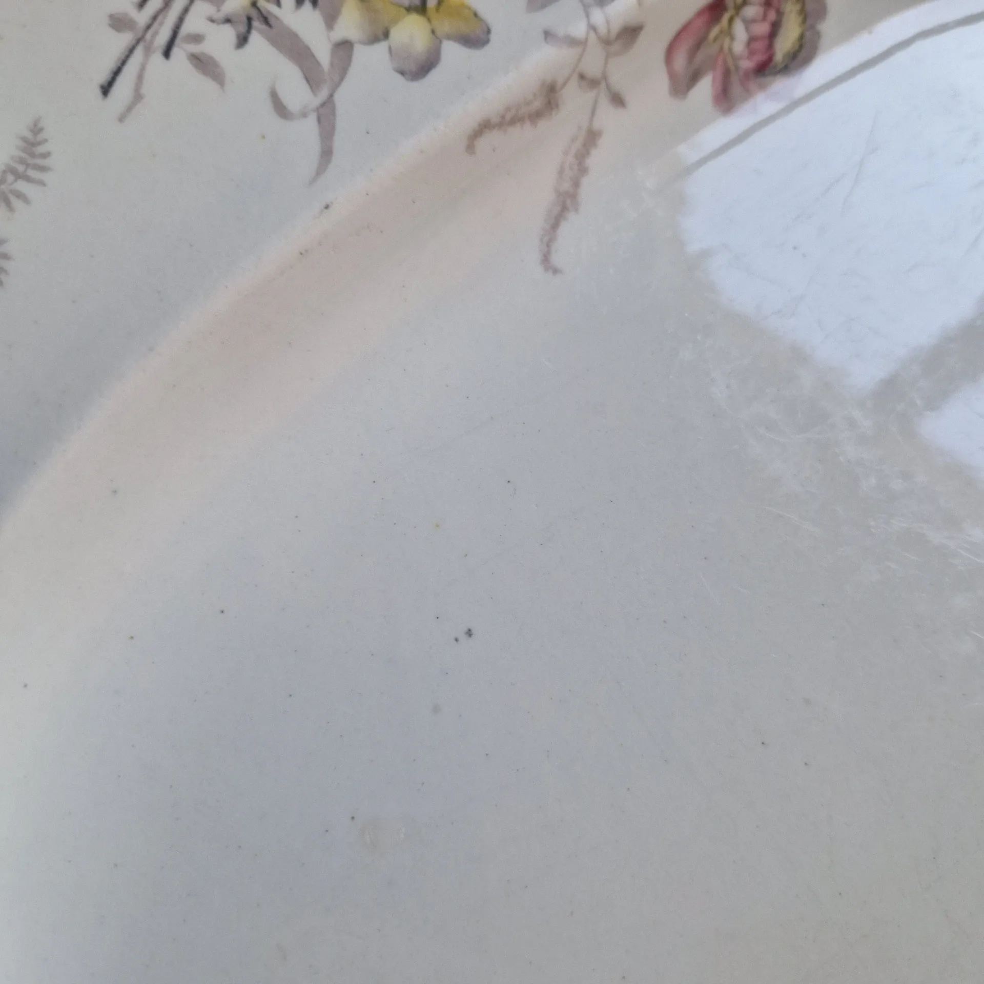 Large oval dish Cauldon Place England – Ironstone / English earthenware