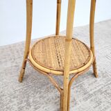 Vintage rattan plant holder