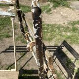 Set of 4 folding garden chairs in wood and metal