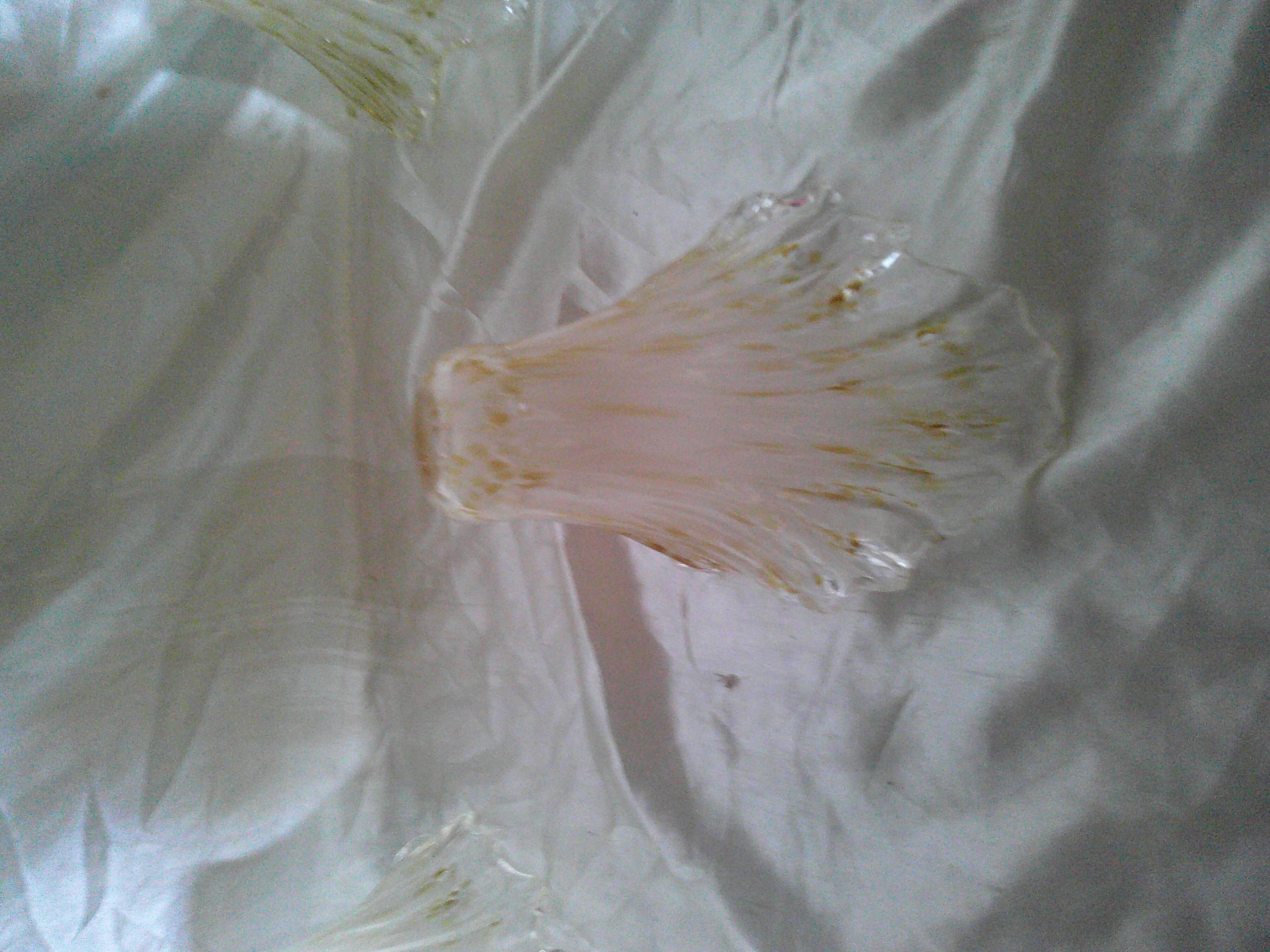 5 Abats-jours tulipe en verre