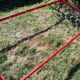 Red metal bed
