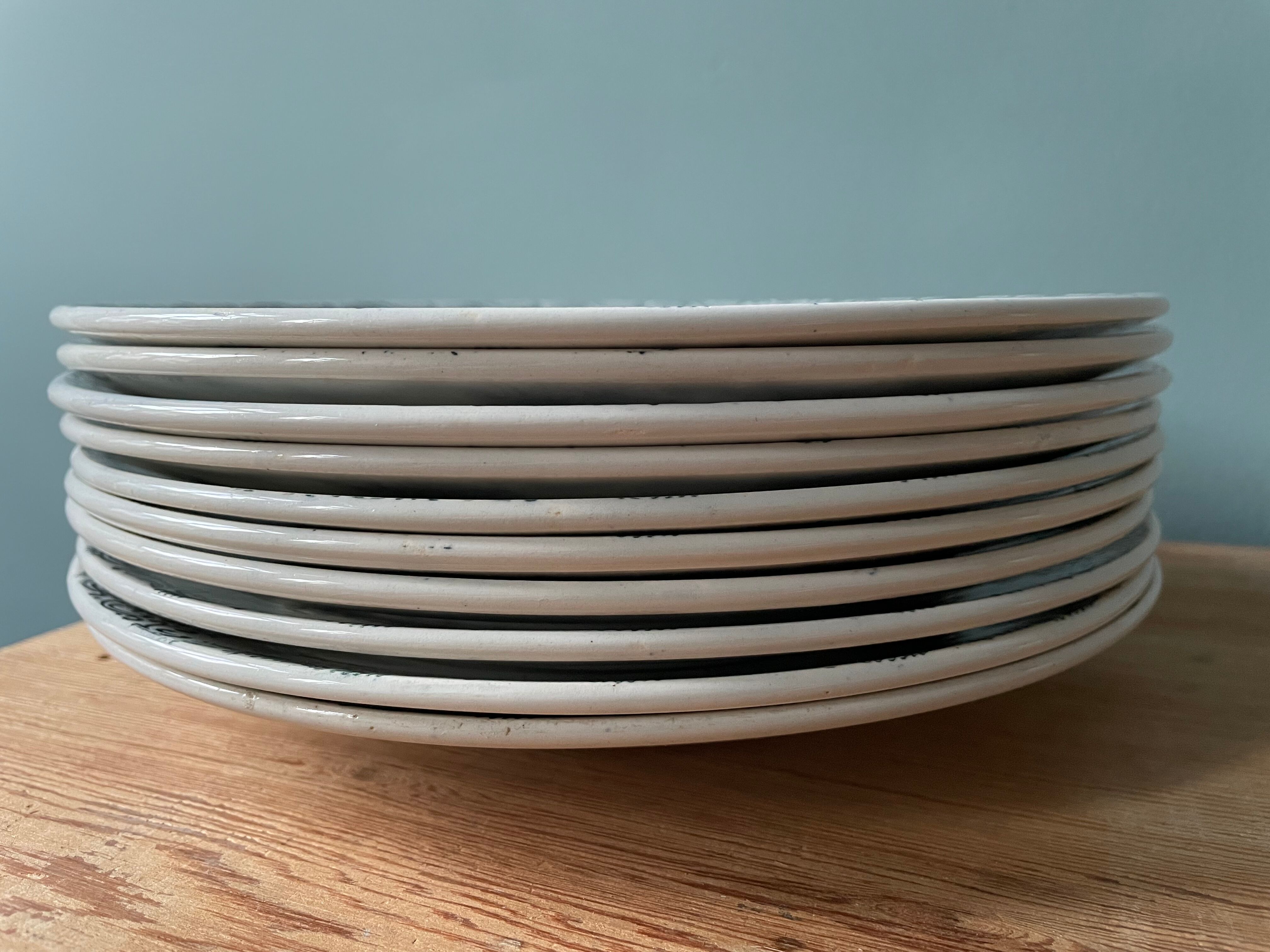 Set of 10 flat plates numbered terre de fer xixème st amand