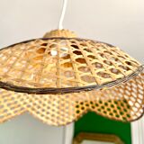 Canning suspension 1970