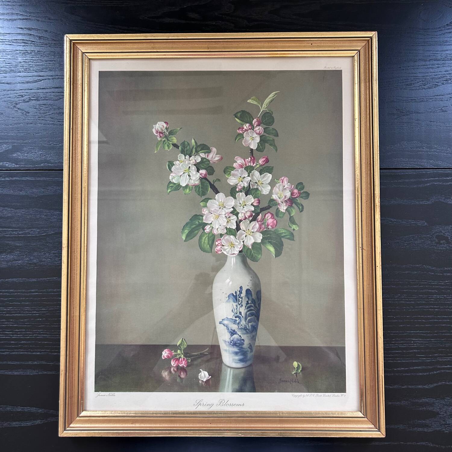 Reproductions florales de James Noble