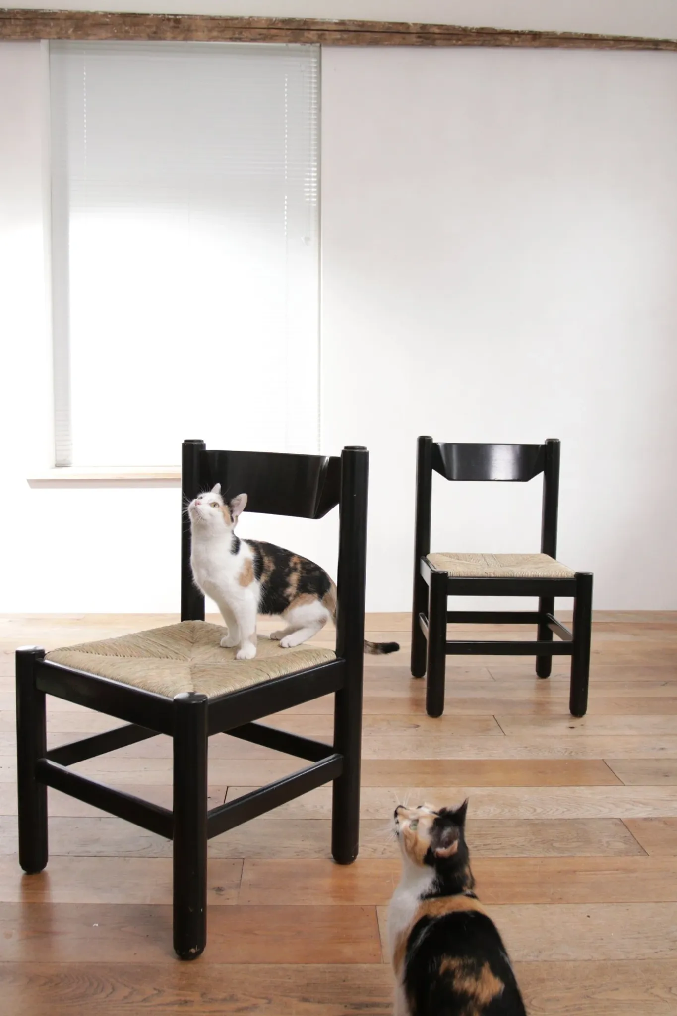 Set of 2 black rush dining chairs – Magistretti / Perriand style, 1970s