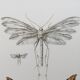 Impression vintage Insectes, illustration ancienne années 60