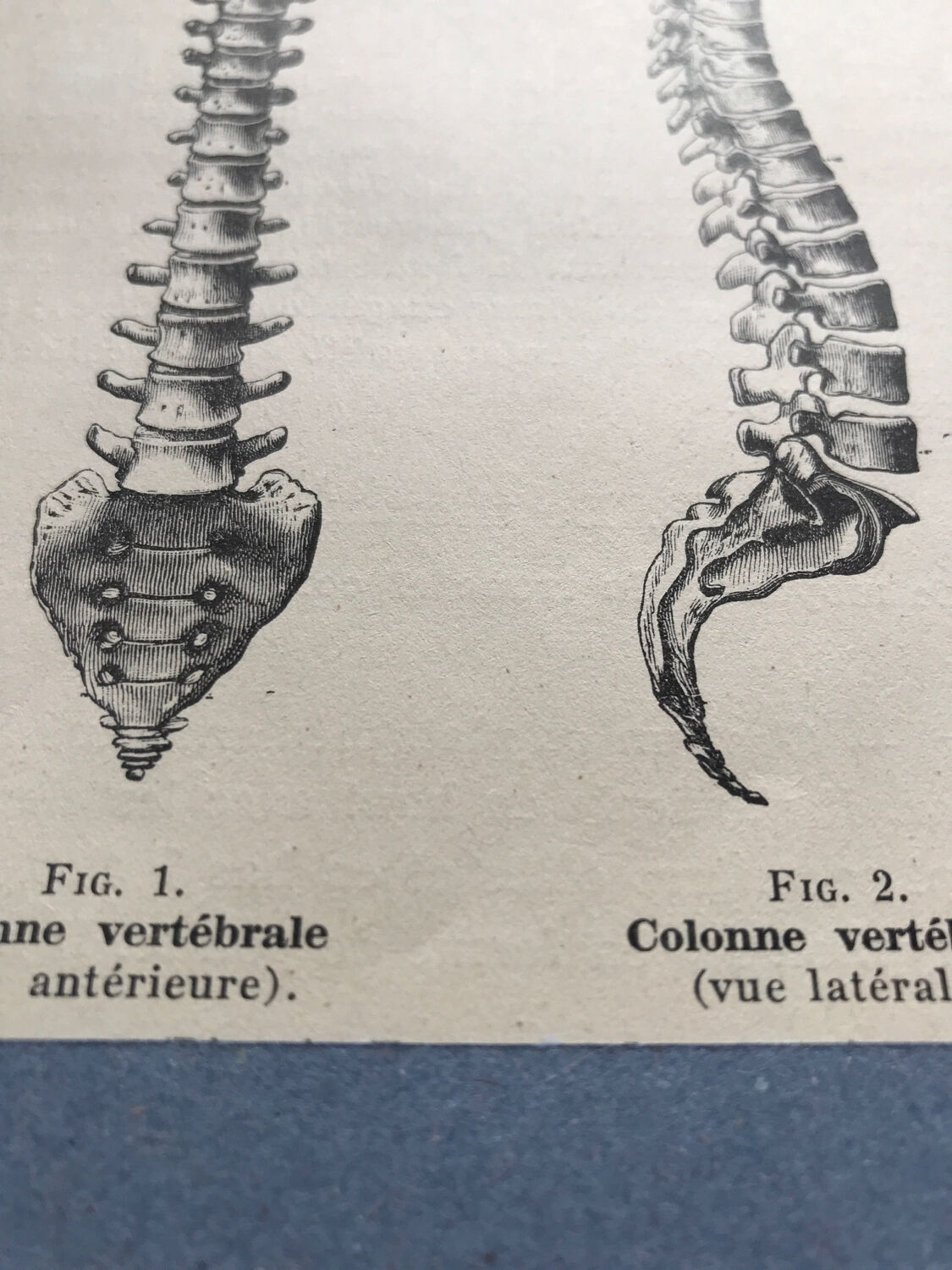 Vintage board medicine
