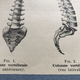 Vintage board medicine