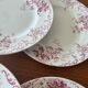 Set of 6 antique red Terre de Fer plates St Amand Hamage model