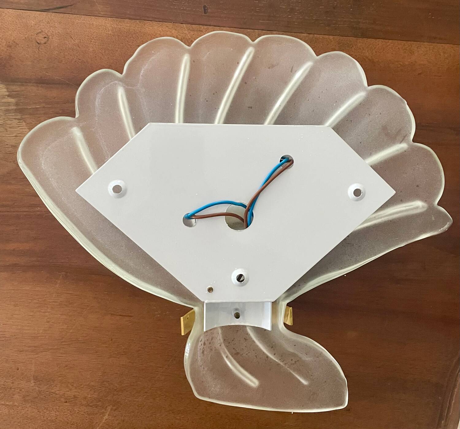 Applique coquille Murano vintage