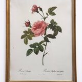 Vintage flower botanical frame