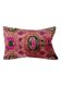 Ikat Silk Velvet Cover