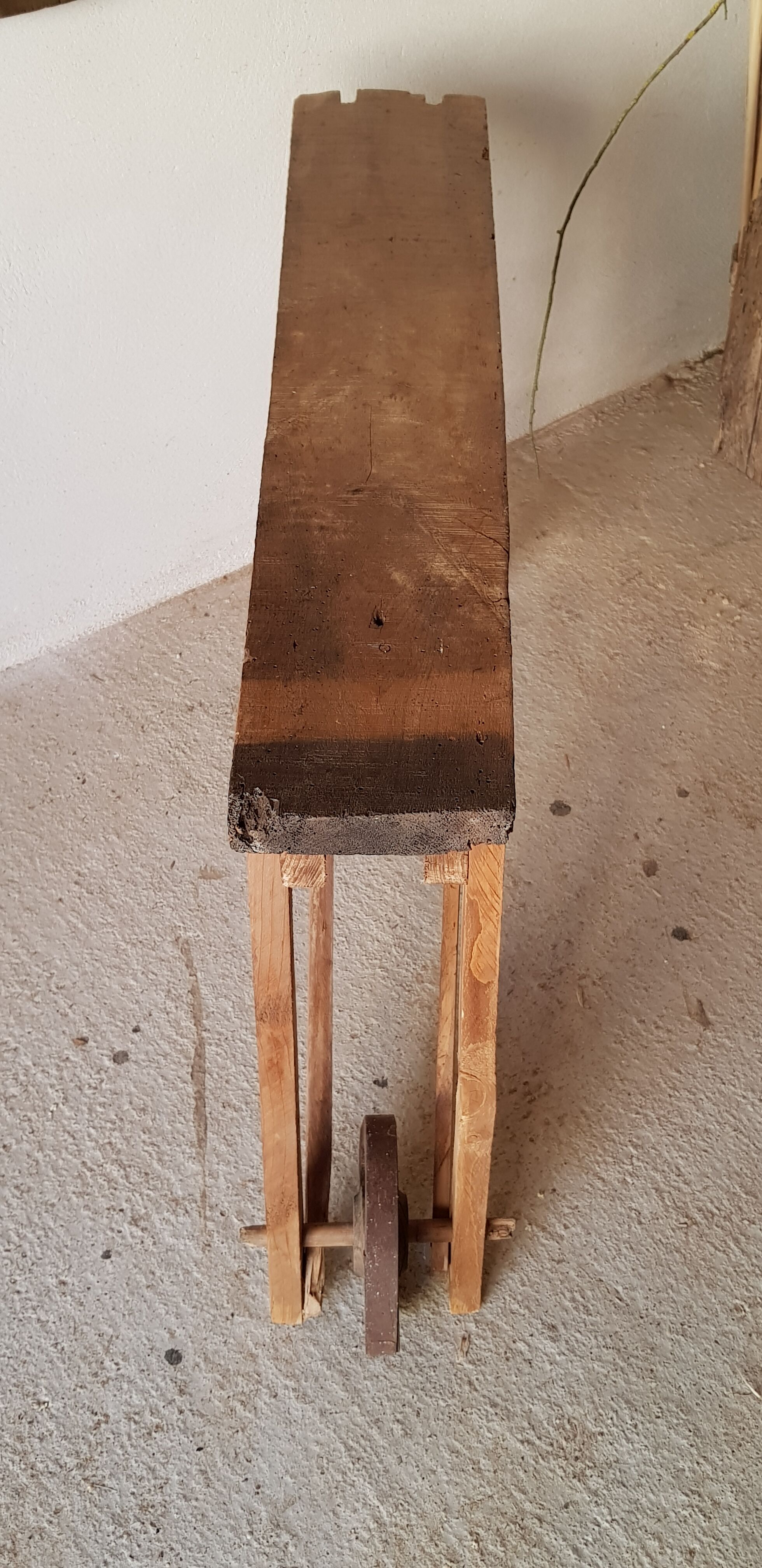 Primitive established