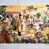 Double-sided school poster Florist/Christmas