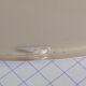 Artemide sconce Tibs Gismondi