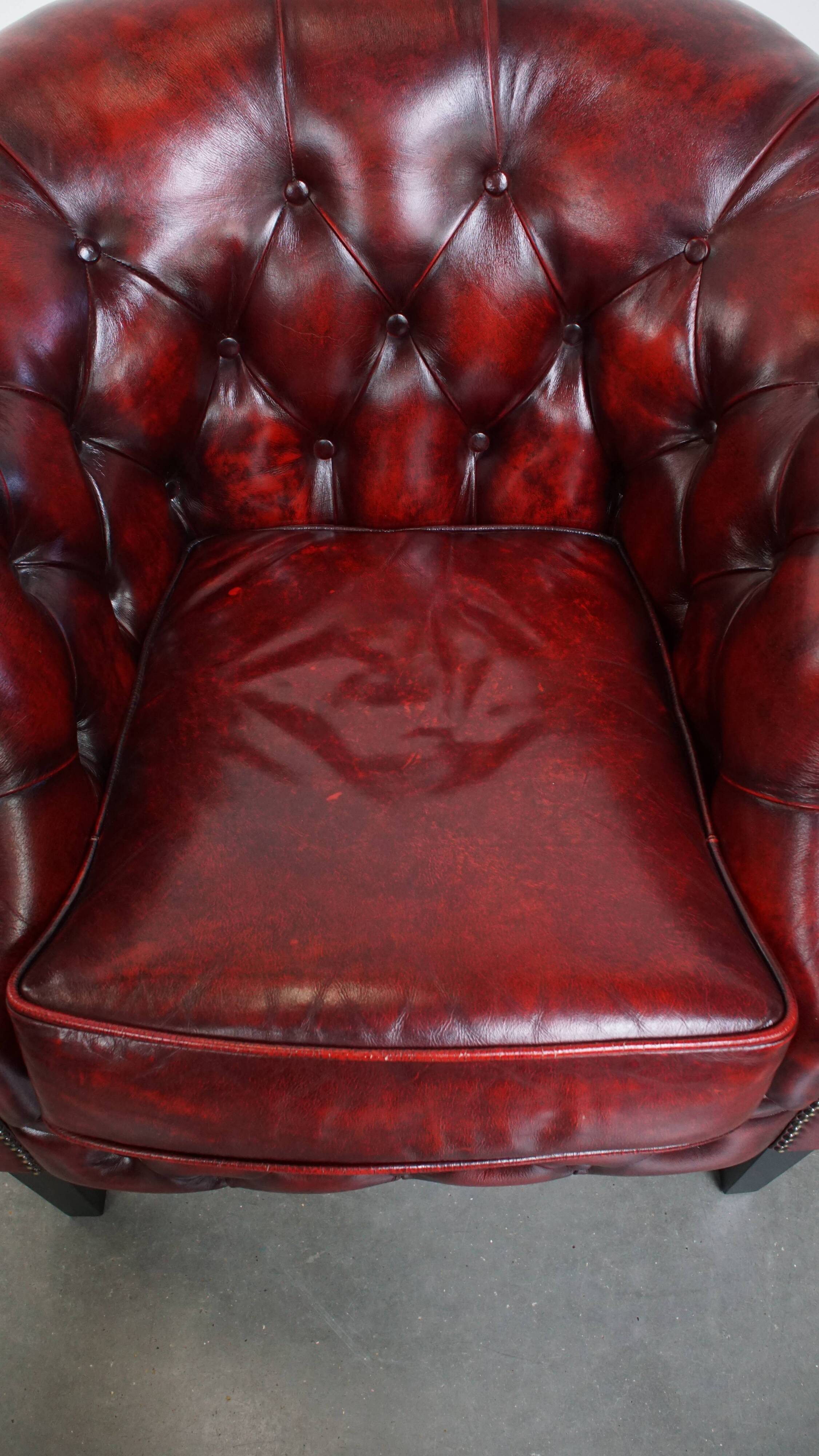 Ensemble de 6 fauteuils club Chesterfield en cuir de vache anglais