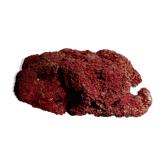 Massive coral Tubipora Musica color red, old
