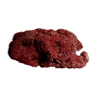 Massive coral Tubipora Musica color red, old