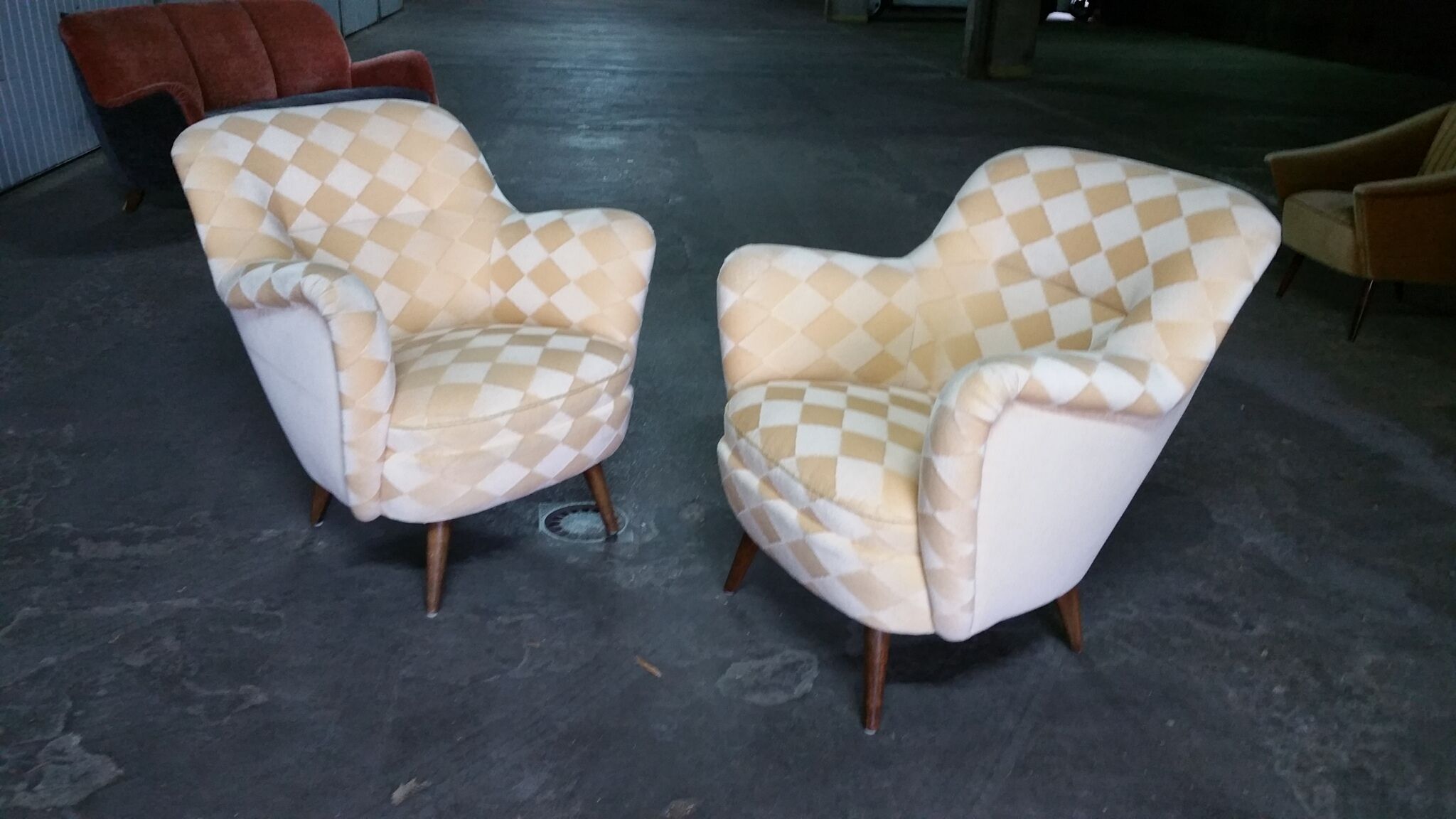 Organic year 50-60 club chairs pair