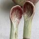 Large vintage salad bowl in the shape of a pink cabbage – barbotine earthenware – 1980s