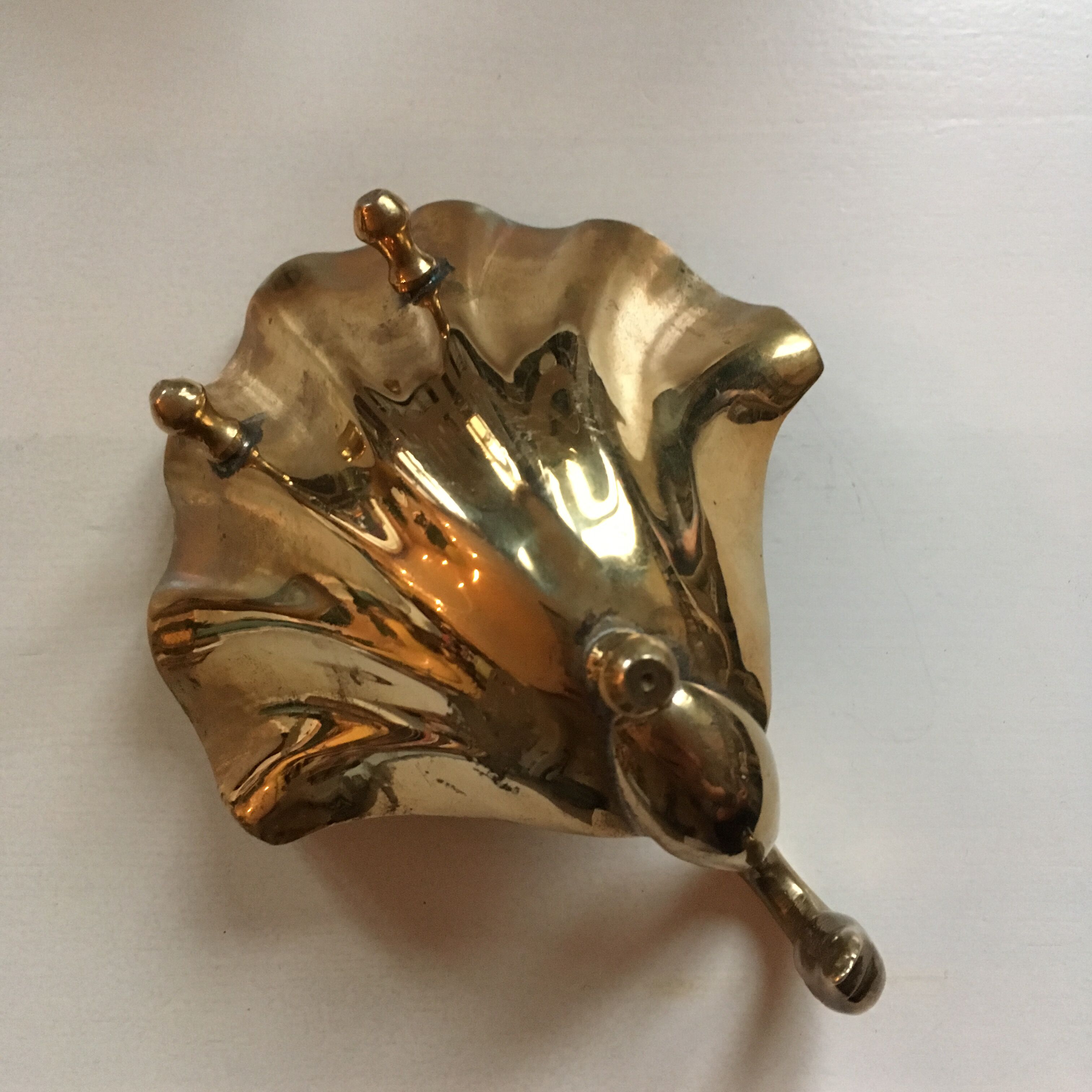 Empty Pocket Swan brass on foot